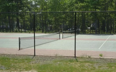 An Introduction to Pickleball